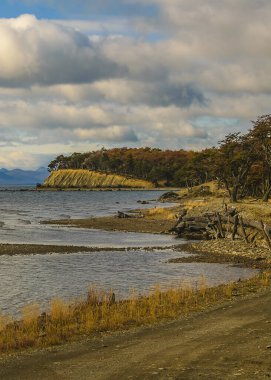 Torito Körfezi, Tierra del Fuego Bölgesi, Arjantin 'de boş, sessiz, vahşi bir manzara.