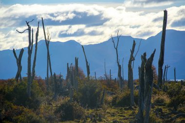 Arjantin, Tierra del Fuego, Arjantin, Arjantin, Arjantin, Arjantin...