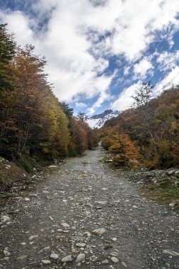 Savaş buzulu ushuaia 'da kayak yamacı, Tierra del fuego bölgesi, Arjantin