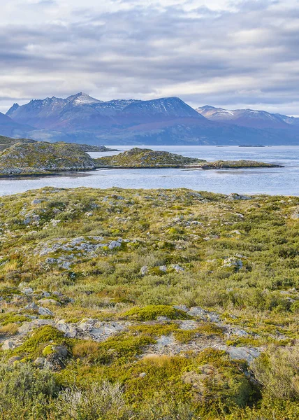 Tierra del Fuego Adası manzarası, Arjantin