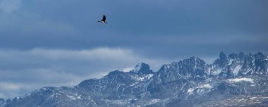 Kuş bulutlu gökyüzünde uçuyor, arka planda büyük dağlar var, Tierra del Fuego Ulusal Parkı, Uhuaia, Arjantin