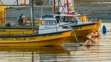 Puerto almanza limanına park edilmiş taşralı balıkçı tekneleri, Tierra del Fuego bölgesi, Arjantin