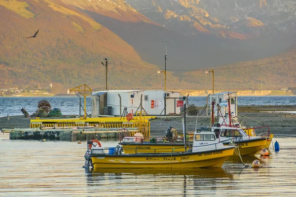 Bateaux Pêche Rustiques Stationnés Port Puerto Almanza Province Terre Fuego Images De Stock Libres De Droits