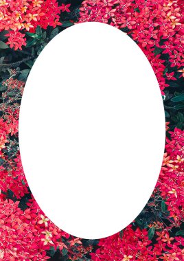 Botanik motifli beyaz çerçeve yuvarlak renkli kenarlar düzeni