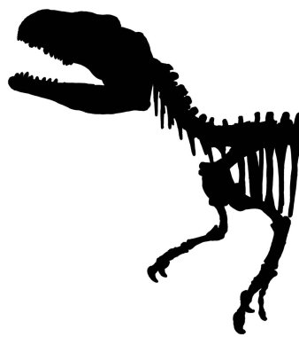 Yan görüş tüm vücut piatnitzkysaurus dinozor izole silueti