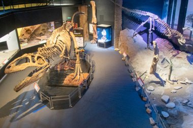 Trelew, Arjantin; 30 Aralık 2022: Egidio Feruglio Paleontoloji Müzesi, Trelew, Arjantin