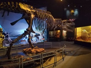 Trelew, Arjantin; 30 Aralık 2022: Paleontoloji Müzesi, Trelew, Arjantin