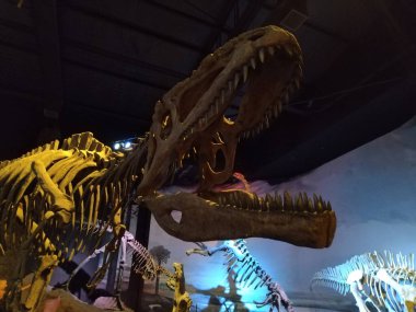 Trelew, Arjantin; 30 Aralık 2022: Paleontoloji Müzesi, Trelew, Arjantin