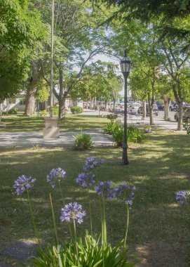 Güneşli bir günde Trelew City, Chubut Vilayeti, Arjantin 'in ana Bağımsızlık Meydanı' nda halk sahnesi yok.