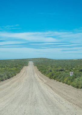 Gravel road crossing semi arid patagonian steepe landscape environment which goes to punta tombo peninsula, trelew, chubut province, argentina clipart