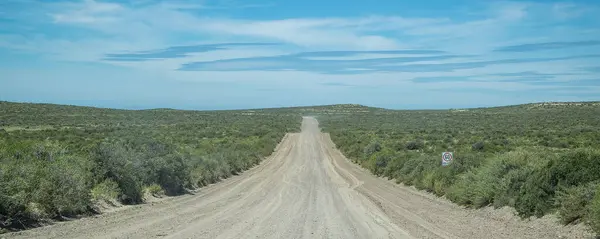 stock image Gravel road crossing semi arid patagonian steepe landscape environment which goes to punta tombo peninsula, trelew, chubut province, argentina