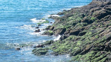 Yüksek açı Rocky plaj detayı, punta tombo yarımadası, chubut vilayeti, Arjantin