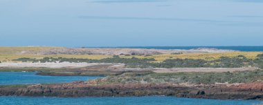 Punta Tombo 'dan çekilen hava fotoğrafçılığı Steppen kıyı manzarası yarımadası, chubut bölgesi, Arjantin