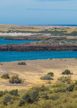 Punta Tombo 'dan çekilen hava fotoğrafçılığı Steppen kıyı manzarası yarımadası, chubut bölgesi, Arjantin