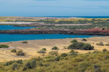 Punta Tombo 'dan çekilen hava fotoğrafçılığı Steppen kıyı manzarası yarımadası, chubut bölgesi, Arjantin