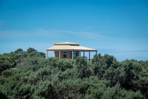 Gözlem noktası park korucusu binası, çalı manzarası, punta tombo yarımadası, chubut bölgesi, Arjantin