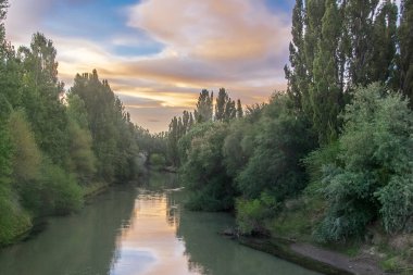 Chubut nehri, gün batımında büyük orman ağaçlarını geçiyor, Gaiman kasabası, Chubut bölgesi, Arjantin