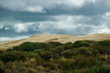 Cerro avanzado plajı yakınlarındaki kum tepeleri ve ağaçlar Puerto Medresesi, Chubut Bölgesi, Arjantin