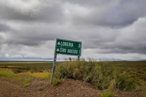 Steppen patagonya manzarasının ortasında işaret direği, Puerto medryn, Chubut bölgesi, Arjantin