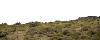 Steppen manzara fotoğrafı beyaz arkaplanda izole edildi 