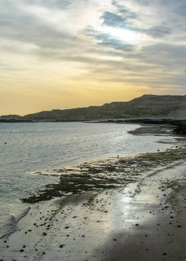 Boş sahil manzarası, Puerto Pirmides plajı, biedma bölümü, Puerto Medryn, Chubut vilayeti, Arjantin