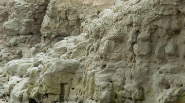 Puntas cuevas cliffs peyzajı, burası 19. yüzyılın ilk Galler yerleşim yeriydi, Puerto Medresesi, Chubut Eyaleti, Arjantin, Arjantin