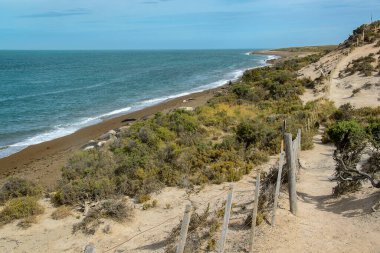 Punta Norte sahilinde uyuyan deniz aslanları, yarımada vadileri, vilayet, vilayet, Arjantin