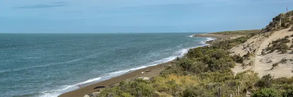 stock image Sea lions sleeping at punta norte beach, peninsula valdes, viedma department, chubut province, argentina