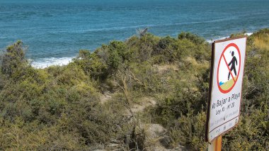 Punta Norte plaj manzarası, yarımada valeleri, vilayet, chubut bölgesi, Arjantin 'de İspanyolca 