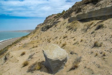 Coastal landscape at peninsula valdes, viedma department, chubut province, argentina clipart