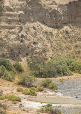 Yarımada Valdes 'teki Steppen manzarası, Viktorya Bölümü, Chubut Bölgesi, Arjantin