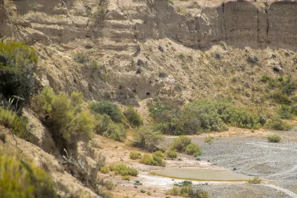 stock image Steppen landscape at peninsula valdes, viedma department, chubut province, argentina