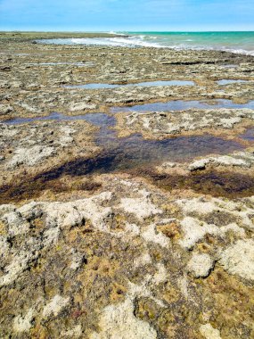 Las Grutas 'ta alçak gelgit plajı, Rio Negro, Arjantin' de bir sahil beldesi.
