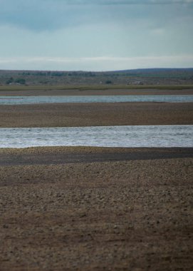 Siyah ve beyaz köpek boş sahilde koşuyor, San Antonio Oeste kasabası, Rio Negro bölgesi, Arjantin