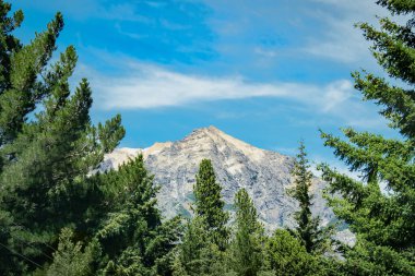 Arka planda çam ağaçları ve ünlü cerro kategorisi, San Carlos de Bariloche, Rio Negro bölgesi, patagonya, Arjantin