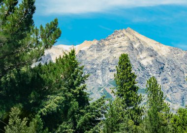 Arka planda çam ağaçları ve ünlü cerro kategorisi, San Carlos de Bariloche, Rio Negro bölgesi, patagonya, Arjantin