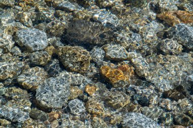 San Carlos de Bariloche plajlarından birindeki temiz göl suyu ve kayaların yüksek açılı görüntüsü Rio Negro vilayetinde, patagonya, Arjantin