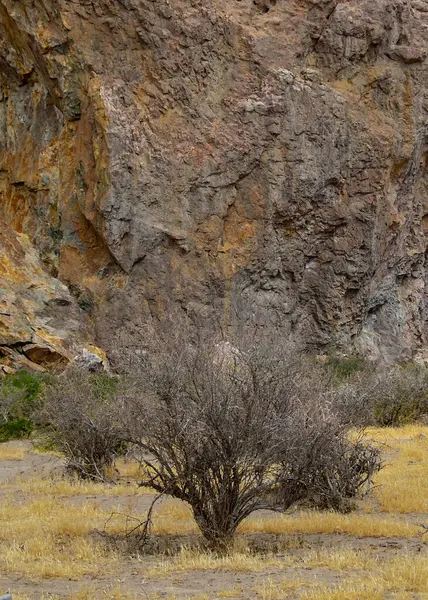 Patagonya manzarası ünlü Piedra Parada 'yı gösteriyor. Patagonya, Chubut, Arjantin' de bulunan antik volkanik aktivitelerden oluşan çarpıcı bir kaya oluşumu. 