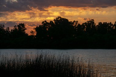 Santa Lucia River, Los Cerrillos, Canelones Departmanı, Uuguay 'da öğleden sonra sahili.