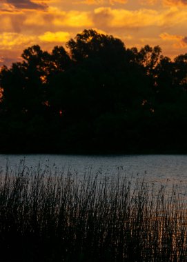 Santa Lucia River, Los Cerrillos, Canelones Departmanı, Uuguay 'da öğleden sonra sahili.
