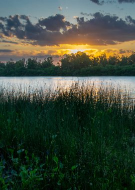 Santa Lucia River, Los Cerrillos, Canelones Departmanı, Uuguay 'da öğleden sonra sahili.