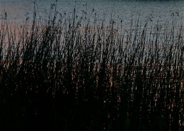 Santa Lucia Nehri, Los Cerrillos, Canelones Departmanı, Uuguay 'daki su tesisleri detayları.
