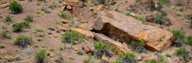 Canyon rocky detail at la buitrera canyon,  a rock formations formed by ancient volcanic activity located in patagonia, chubut province, argentina  clipart