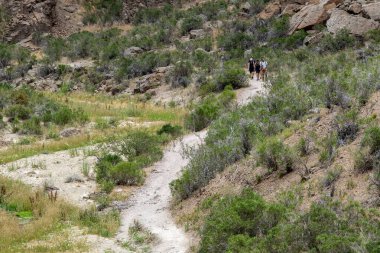Piedra Parada, Arjantin; 9 Ocak 2023: Kanadon de la buitrera kanyonu, piedra parada kasabası, patagonya, chubut bölgesi, Arjantin 'e doğru yürüyen genç grup 