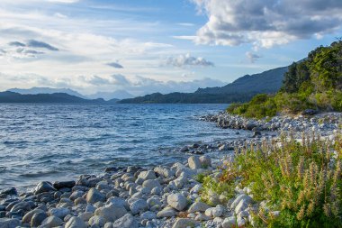 Bariloche, Nahuel Huapi Ulusal Parkı, Rio Zenci Bölgesi, Arjantin sahillerinden birinde güneşli bir yaz günü manzarası..