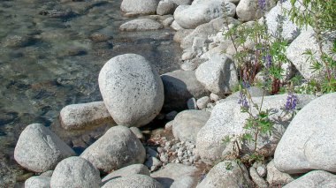 Nahuel huapi gölüne akan taşlı nehir, nahuel huapi parkı, Rio Negro bölgesi, patagonya, Arjantin.