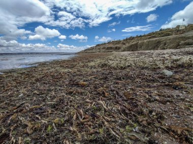 Puntas cuevas plaj manzarası, burası 19. yüzyılın ilk Galler yerleşim yeriydi, Puerto Medresesi, Chubut Bölgesi, Arjantin, Arjantin