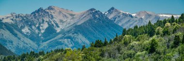 Orman ve And Dağları yaz günü Nahuel Haupi Park, Rio Negro Bölgesi, Patagonya ve Arjantin 'de manzara