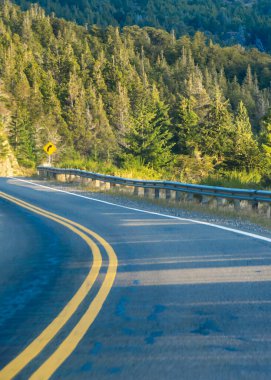 Empty modern highway crossing patagonian forest landscape, rio negro province, patagonia, argentina clipart