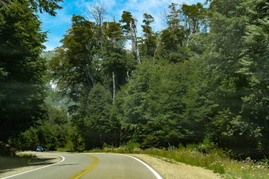 Modern otoyol geçidi Patagonya orman manzarası, Rio zenci bölgesi, patagonya, Arjantin